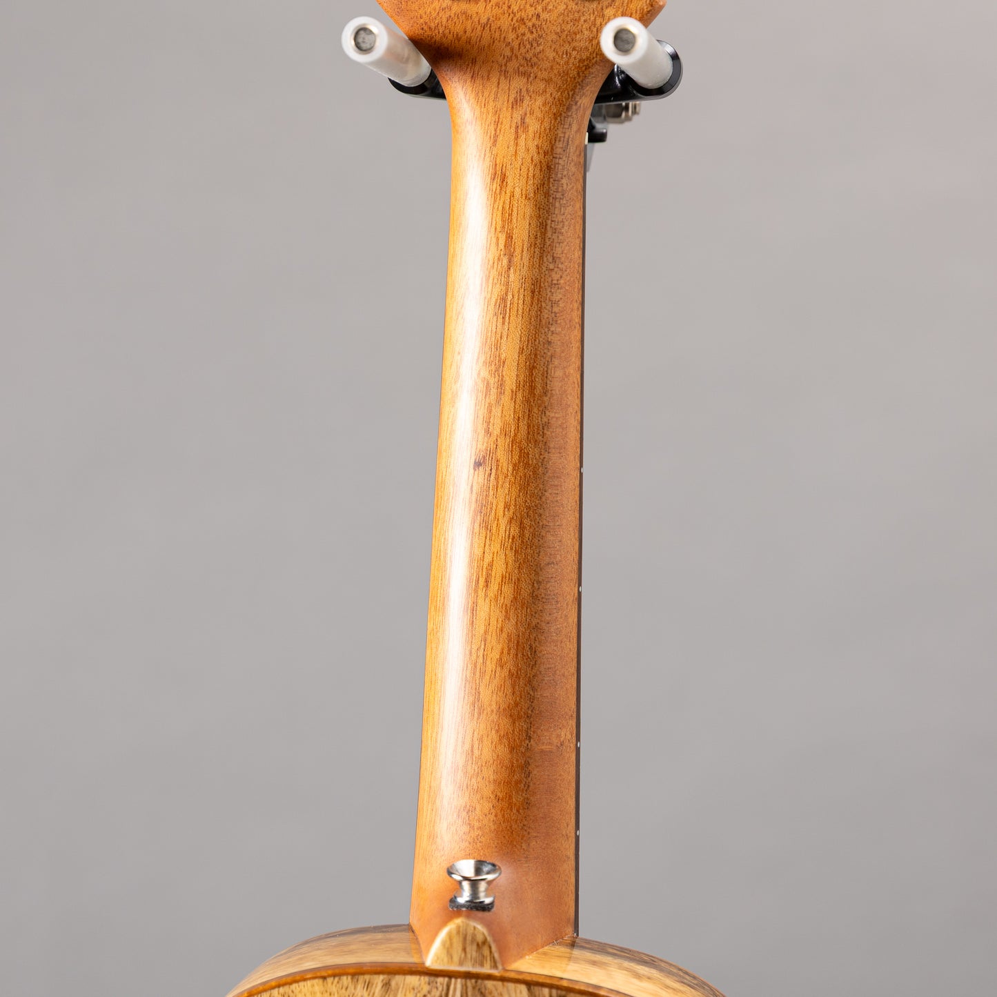 Big Island U-MO-CHB Concert Humming Bird  2024