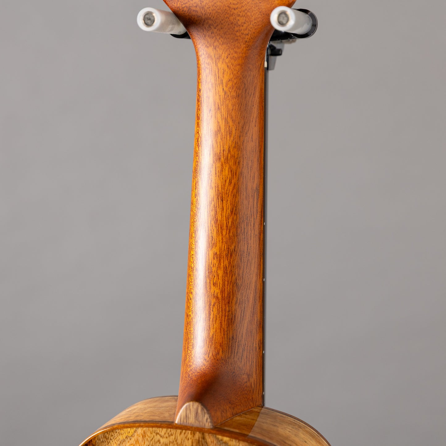 Big Island U-MO-SHB Soprano Humming Bird