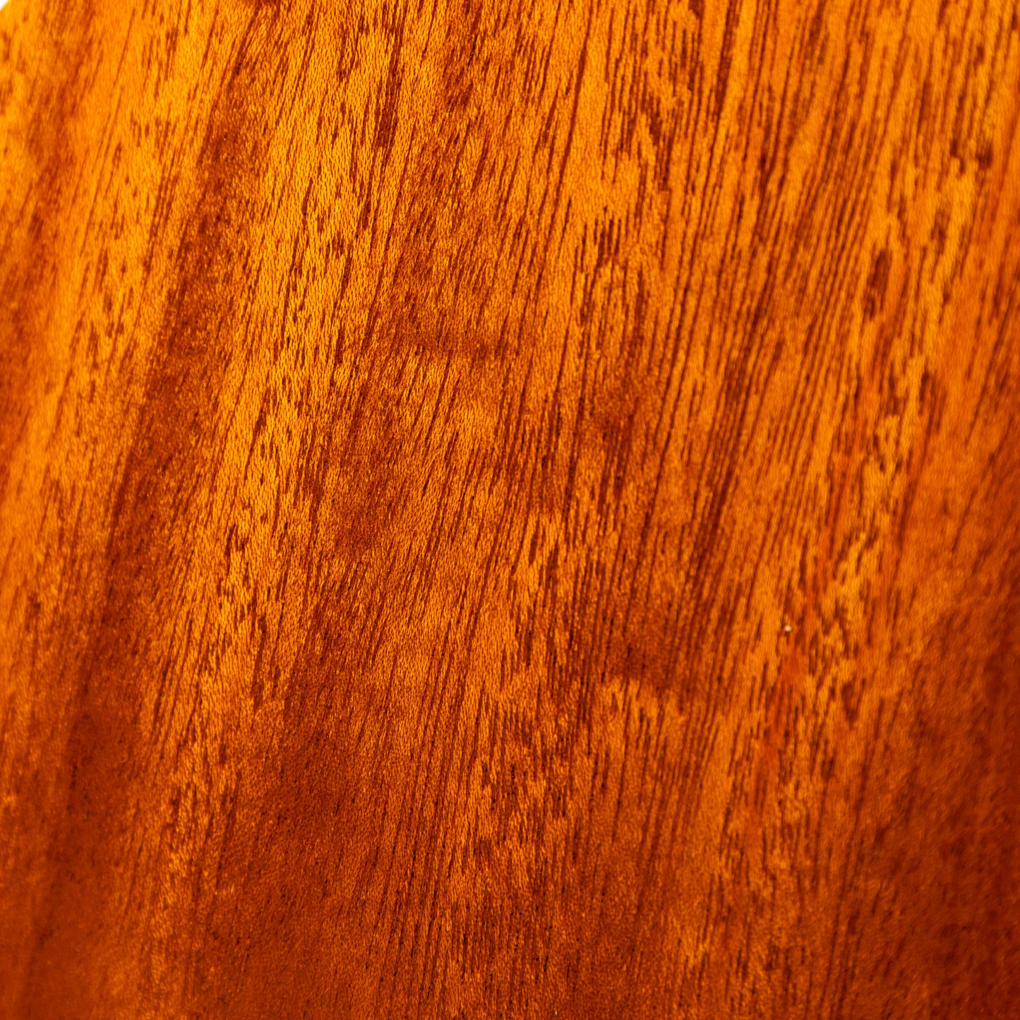 Blue Strings パンケーキウクレレ コンサート “CPU”  2014年製 中古