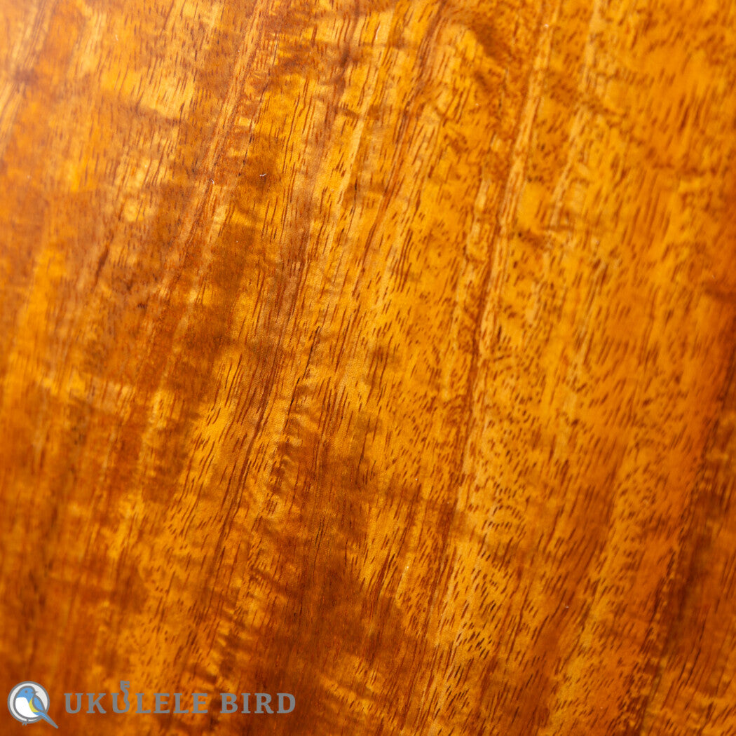Collings UC1K 2016 model