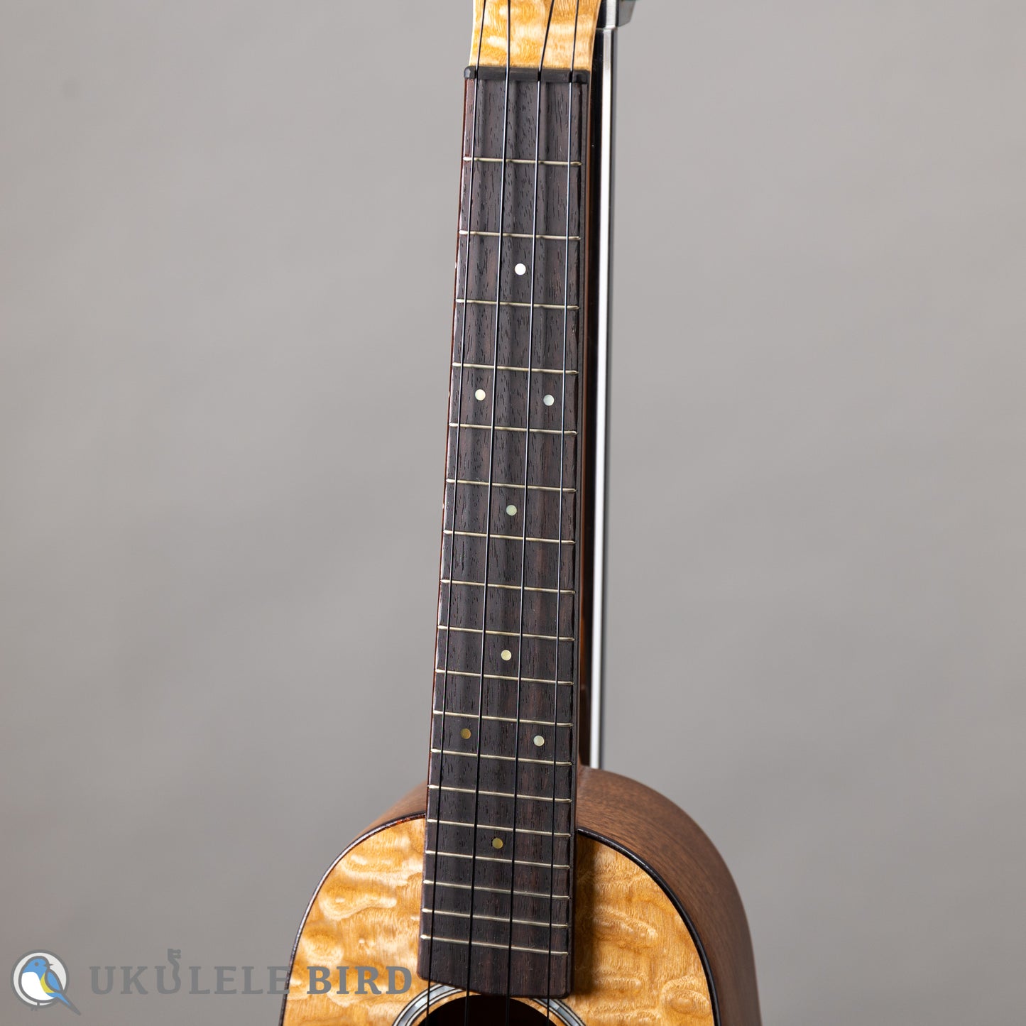 Cotan Made CM-100