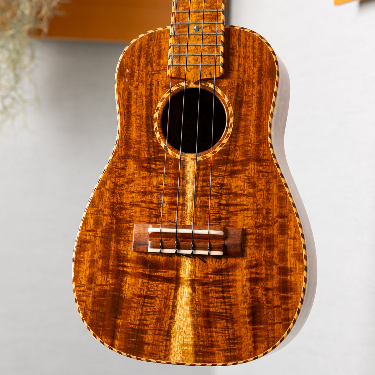 Craft Musica Concert Bellshape All Koa 2020 used
