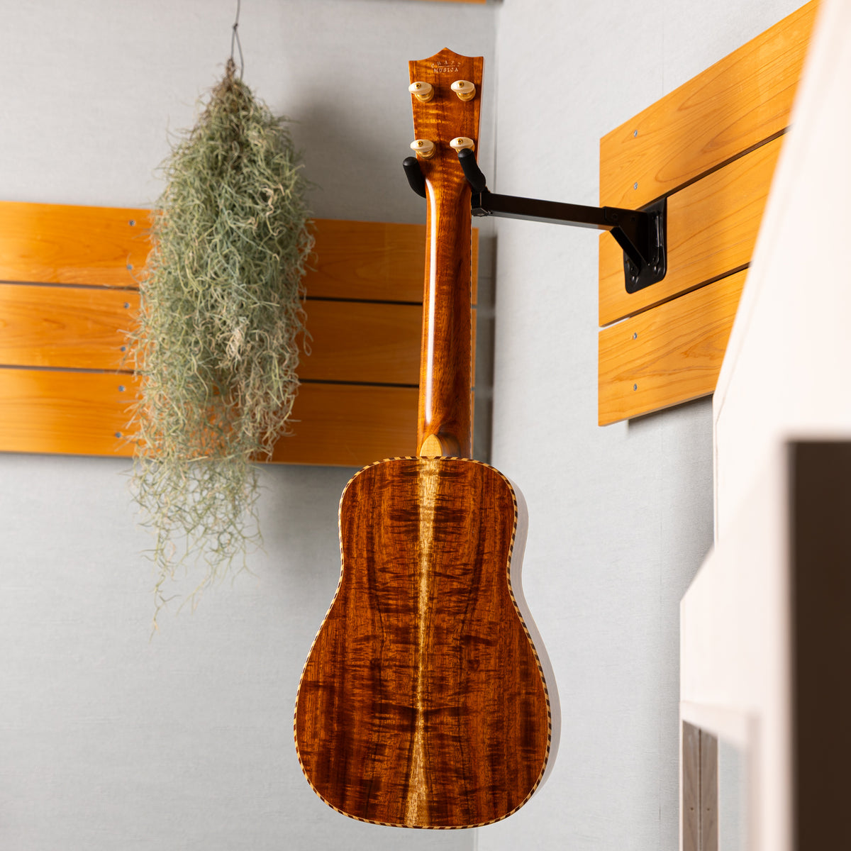 Craft Musica Concert Bellshape All Koa 2020 used