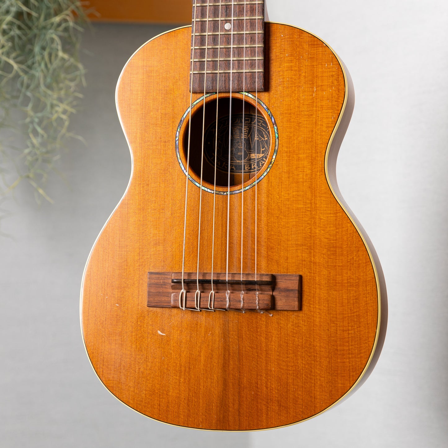 Craft Musica Wild Horse Tenor 6ST 2016