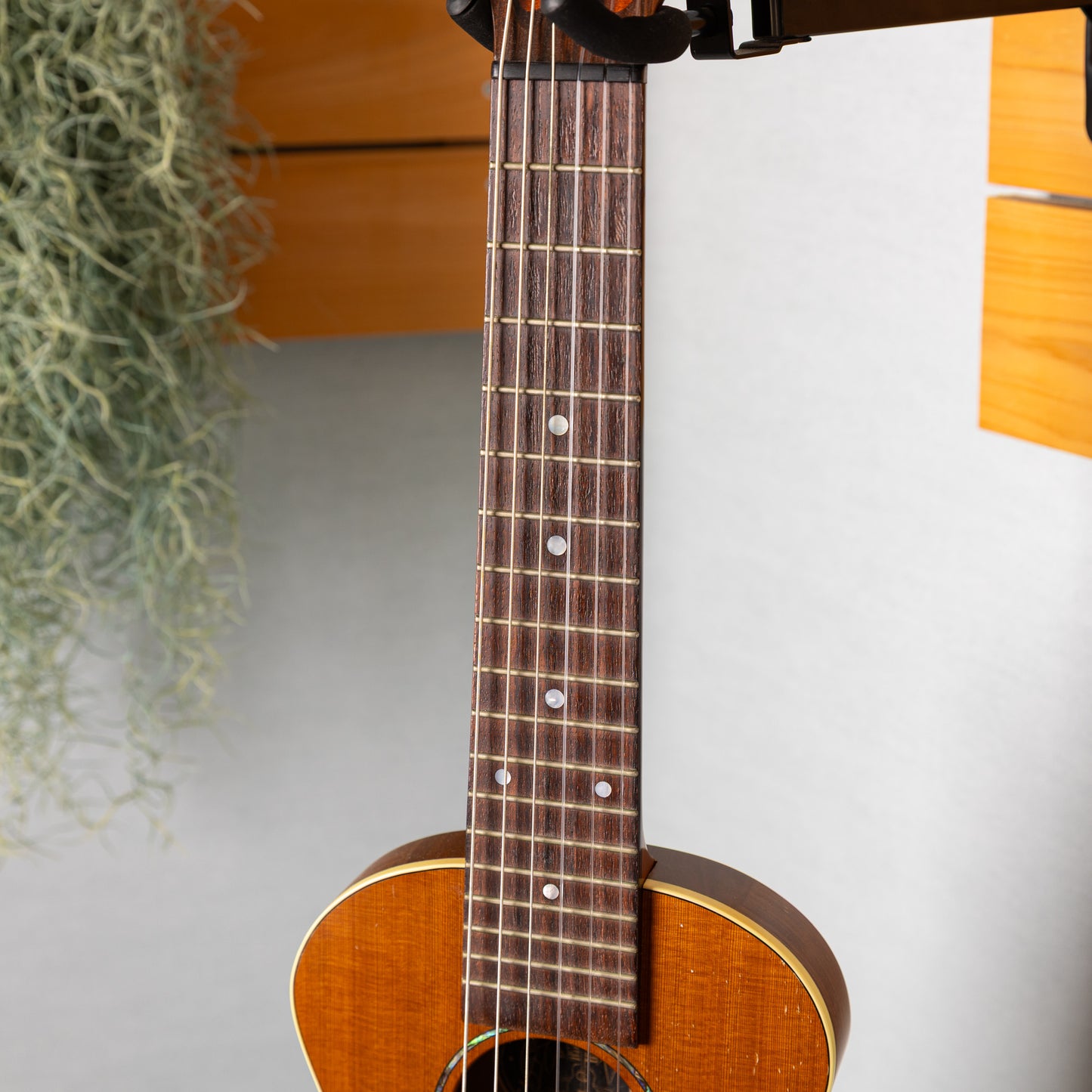 Craft Musica Wild Horse Tenor 6ST 2016