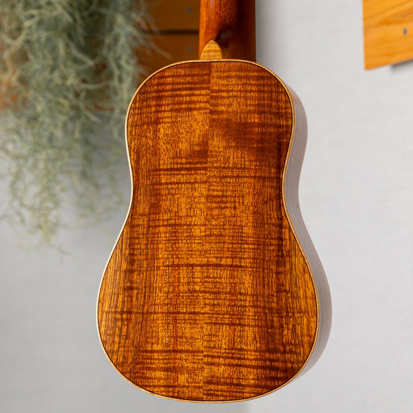 Craft Musica Soprano Style3K Ditson 2023