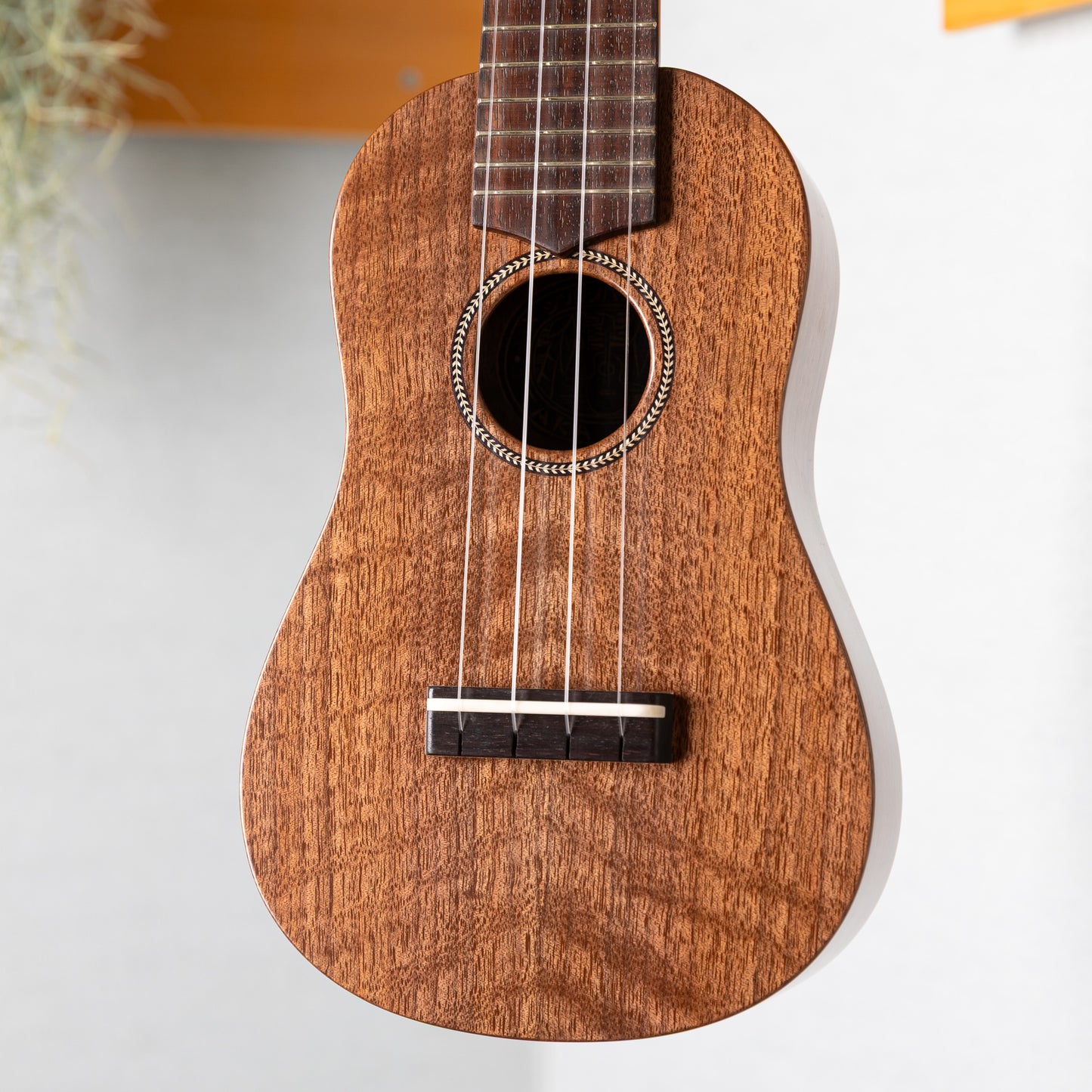Craft Musica 花子さん Soprano Walnut