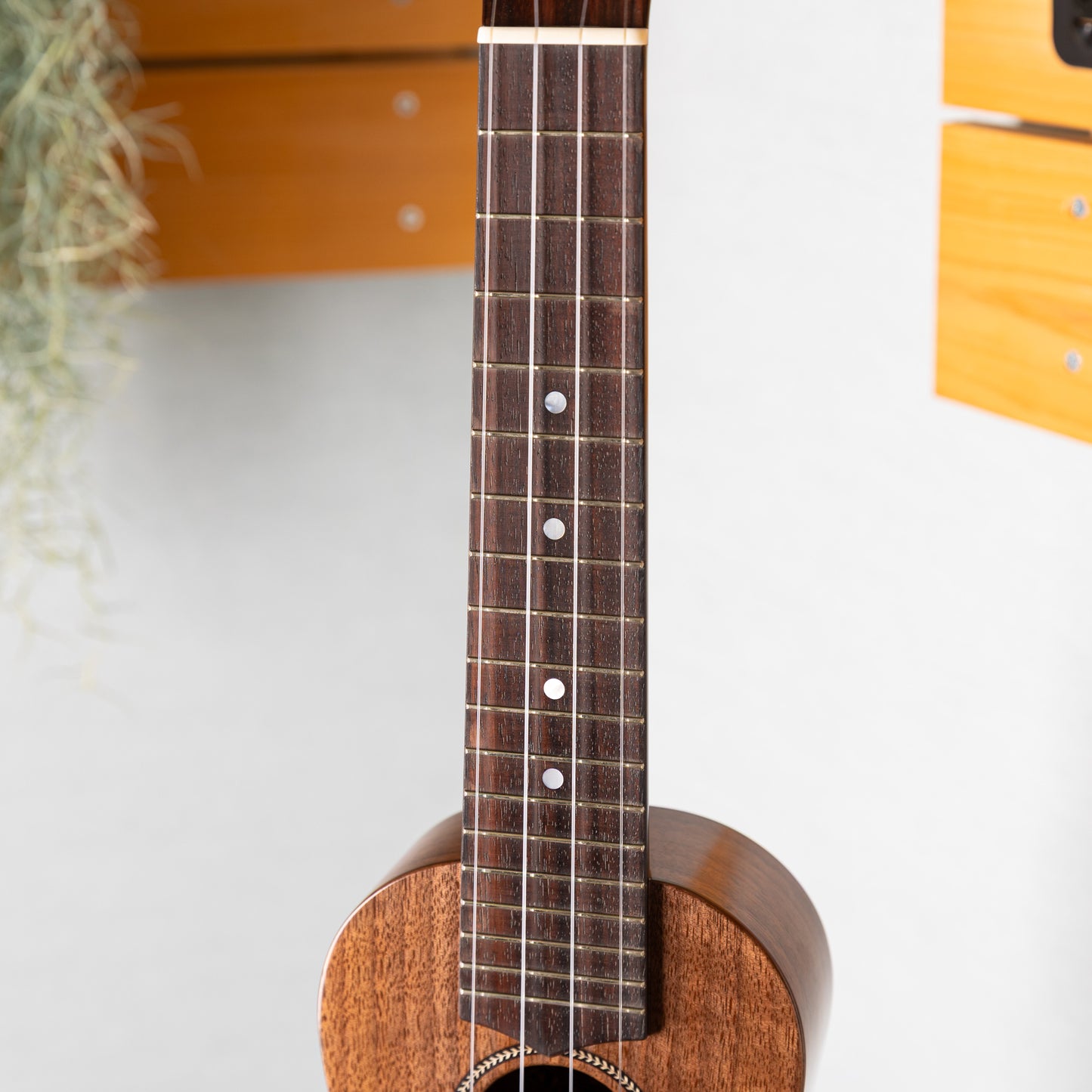 Craft Musica 花子さん Soprano Walnut