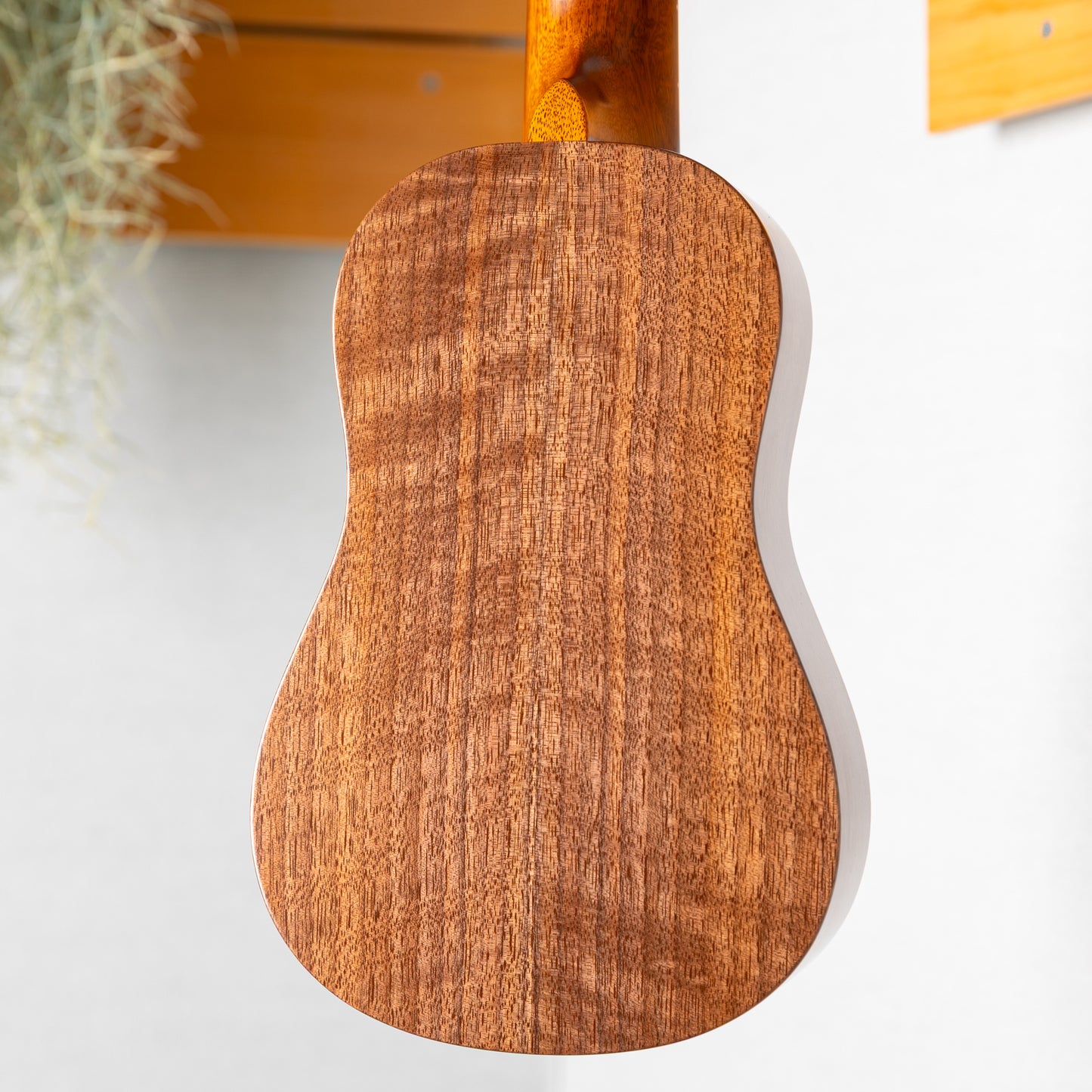 Craft Musica 花子さん Soprano Walnut