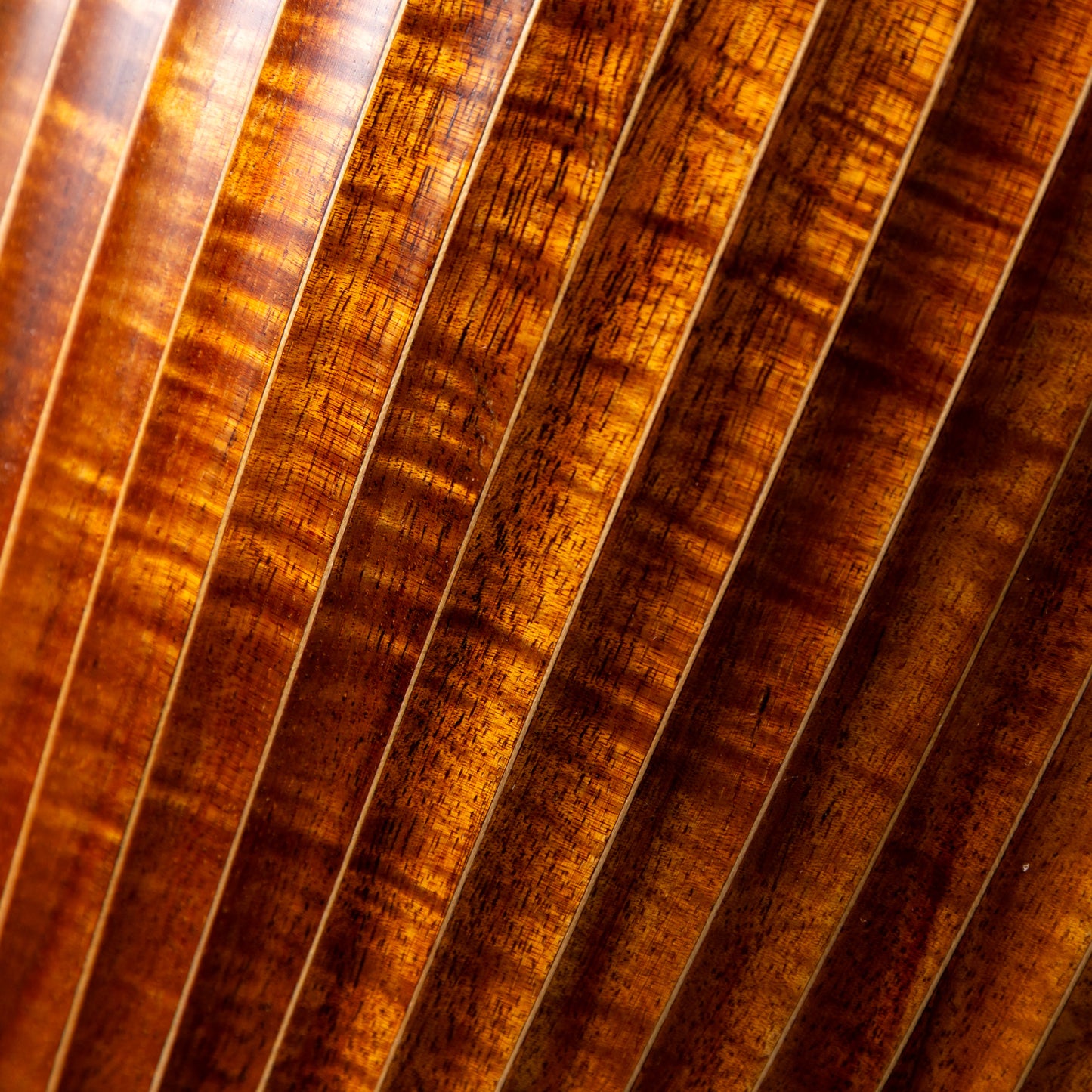 Daisaku Ukulele Renaissance Concert Koa