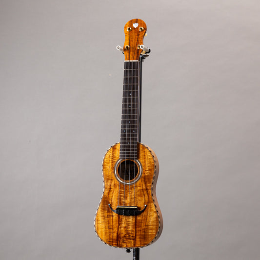 Daisaku Ukulele Renaissance Concert Koa