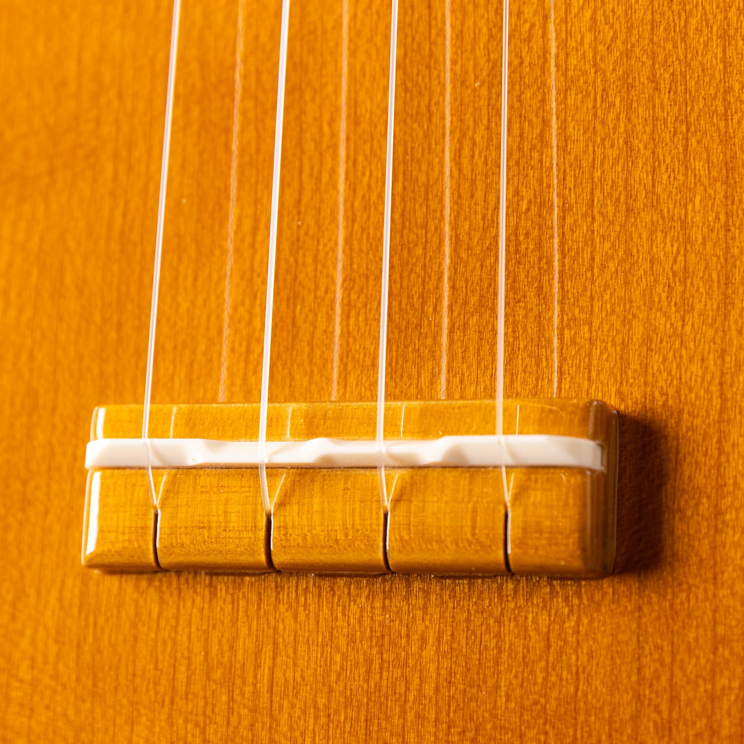Famous FS-11G