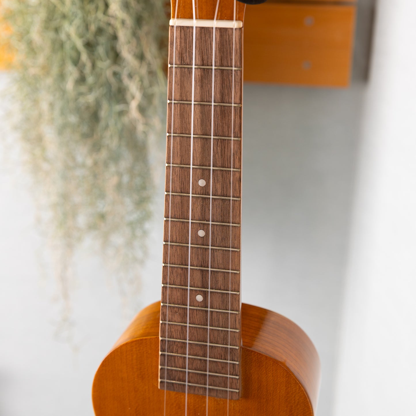 Famous FS-11G