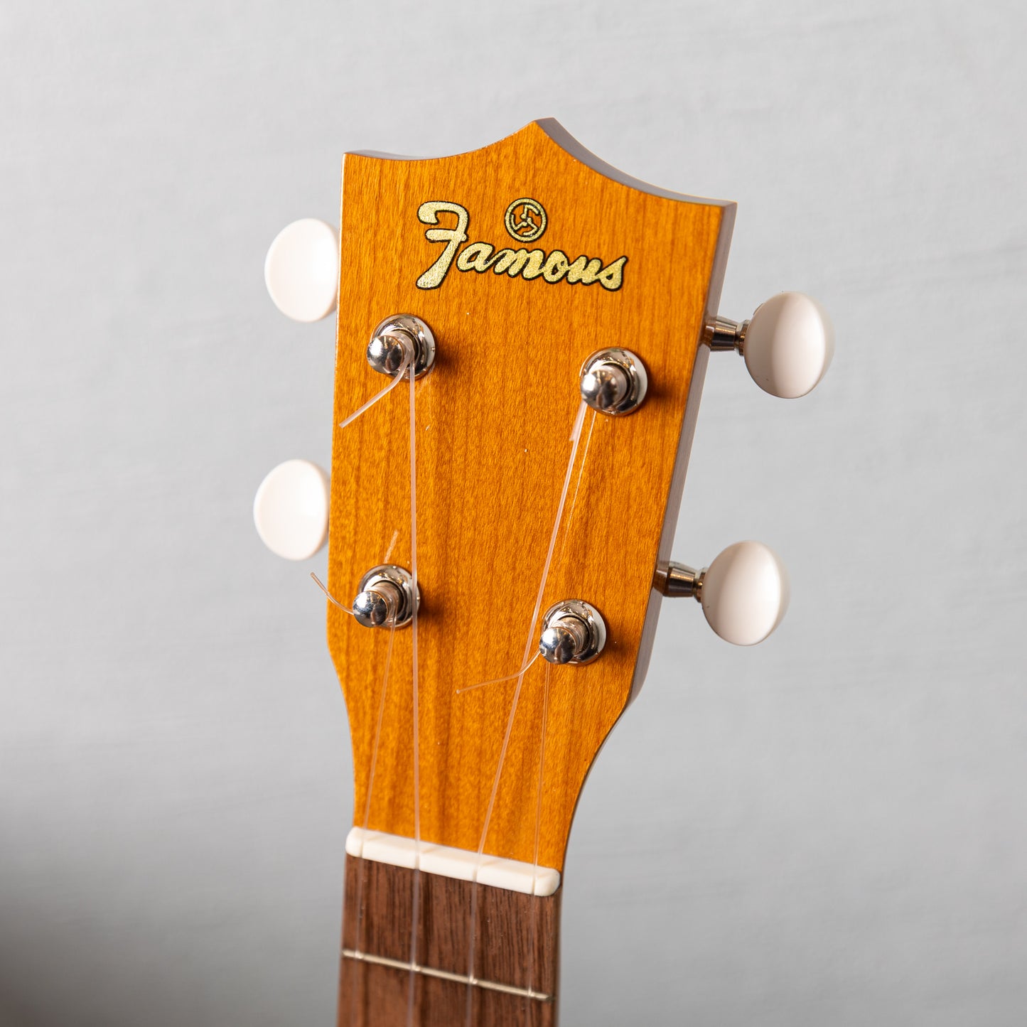 Famous FS-11G