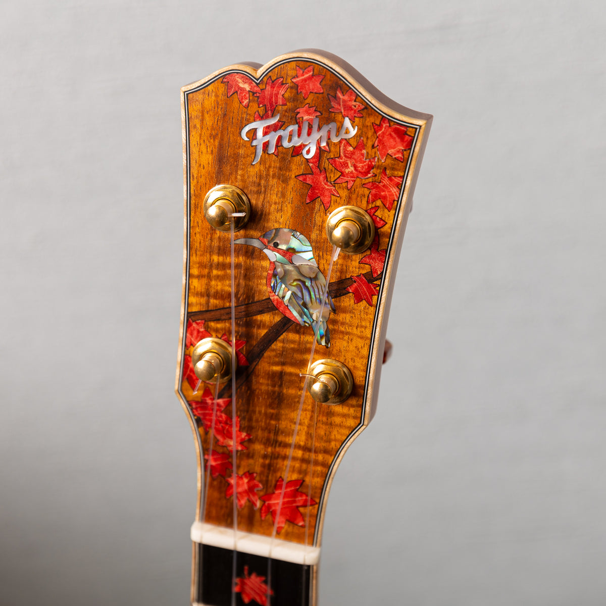 Frayns FRUK-KT-Autumn