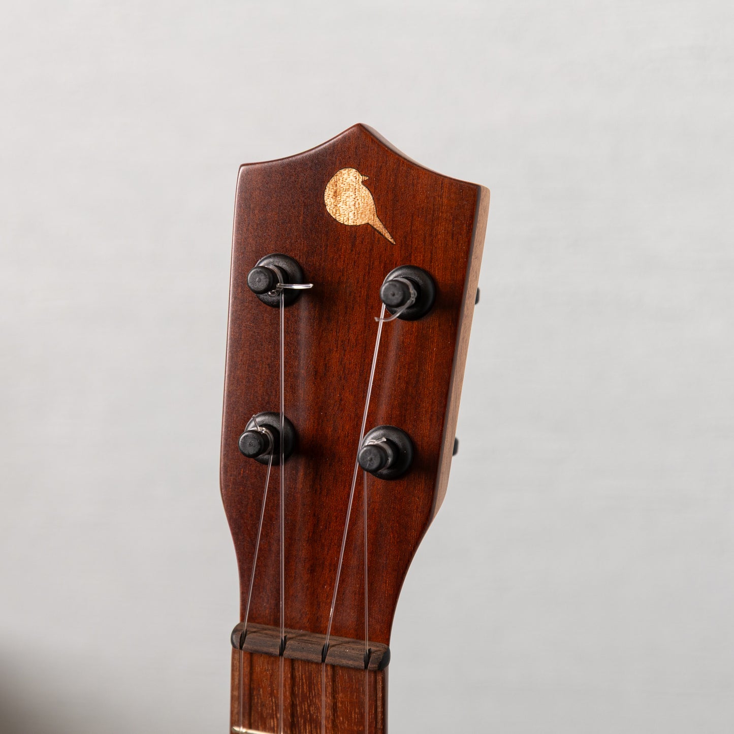 G-Labo No.365 UB Custom
