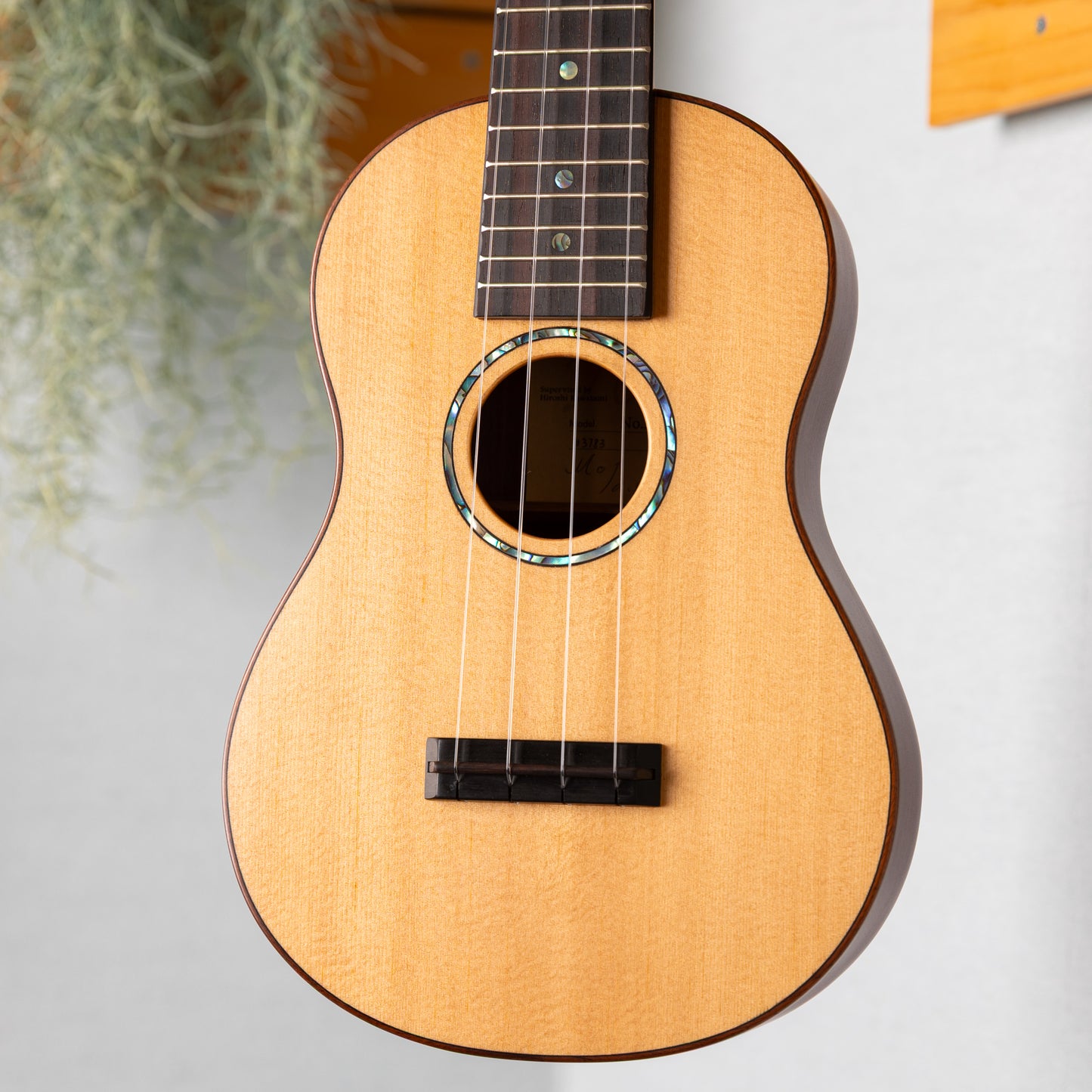 G-Labo CTM Bird 365 PH