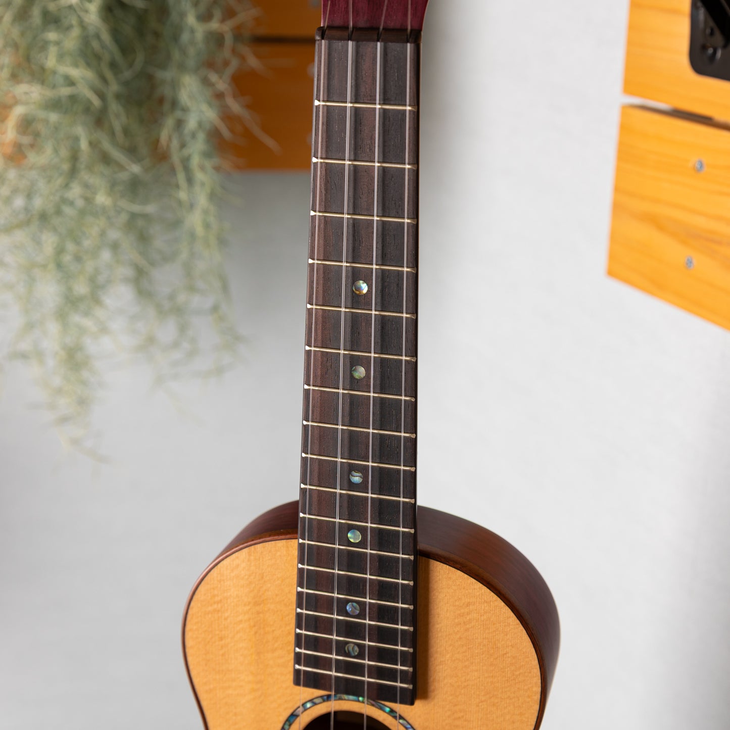 G-Labo CTM Bird 365 PH