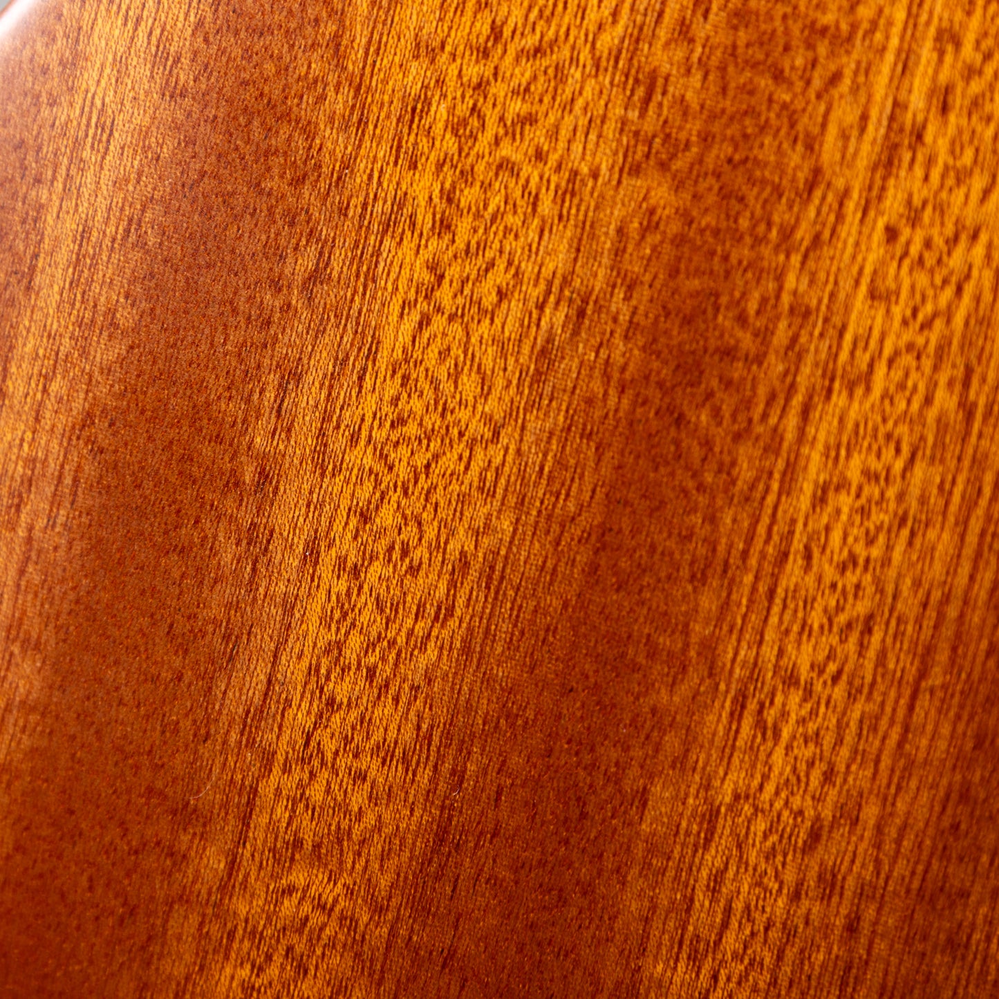 G-Labo “たびレレ” Ukulele Bird 特注モデル J-Bird Spruce