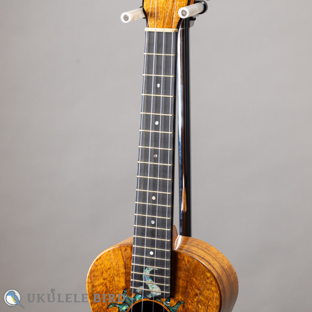 G String T4 Sun Tenor