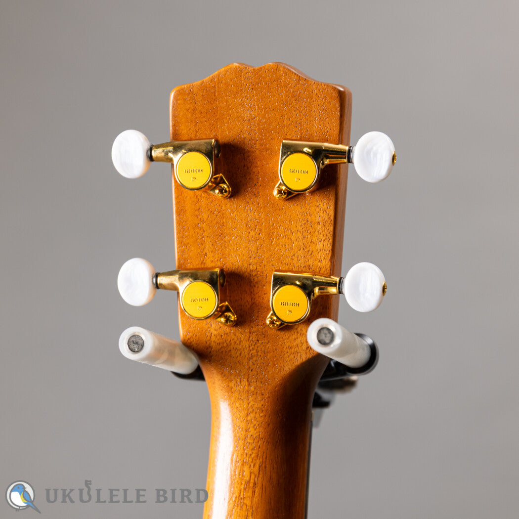G String T4 Sun Tenor