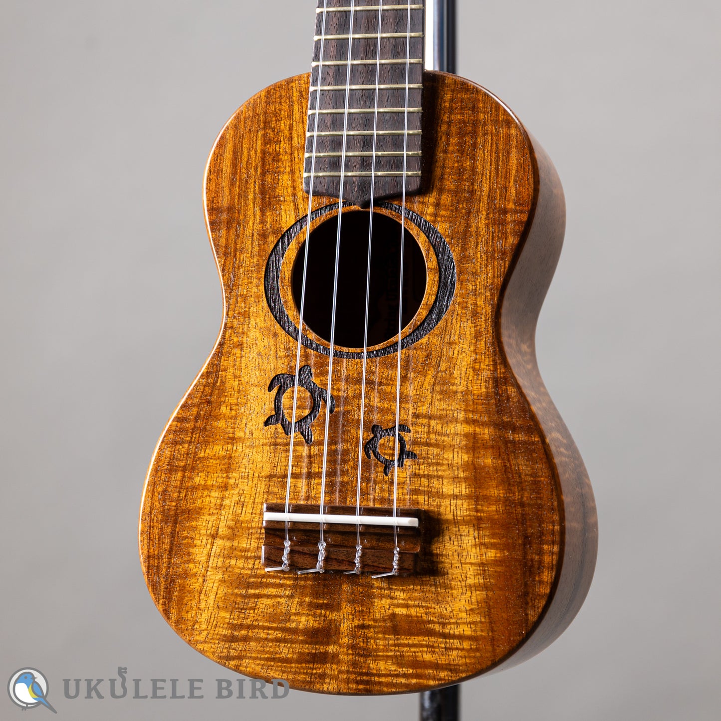 G String M1 Tattoo Honu Soprano