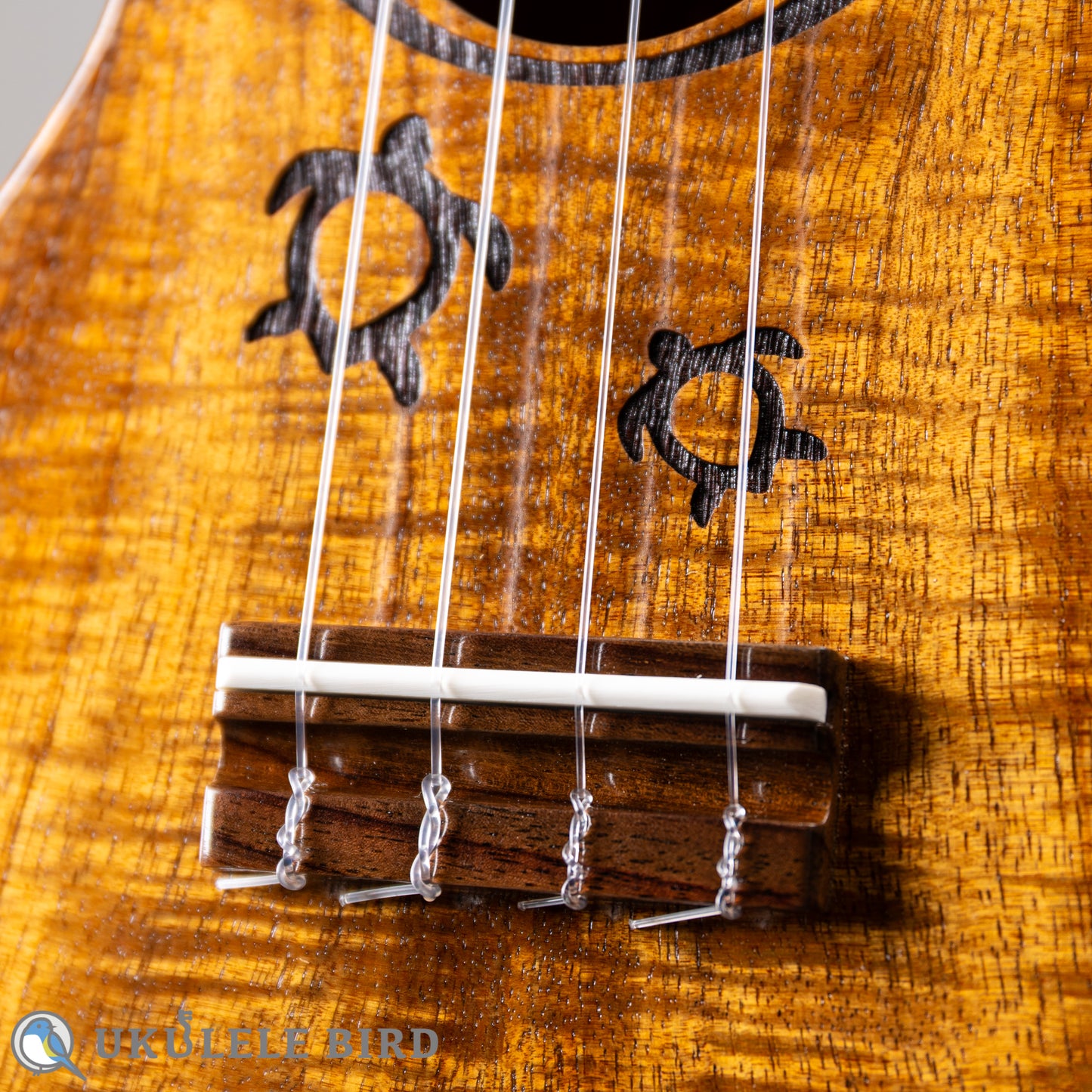 G String M1 Tattoo Honu Soprano