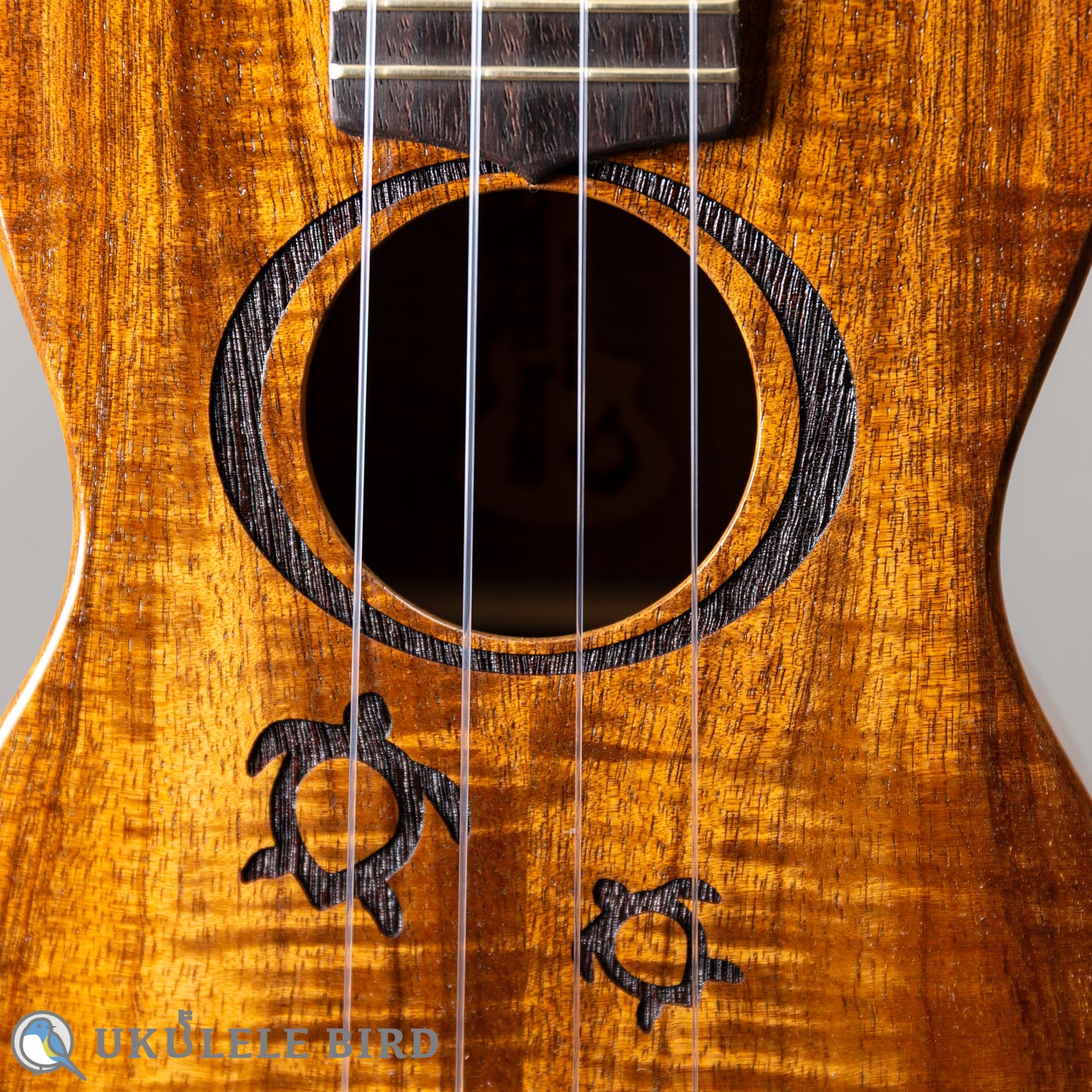G String M1 Tattoo Honu Soprano