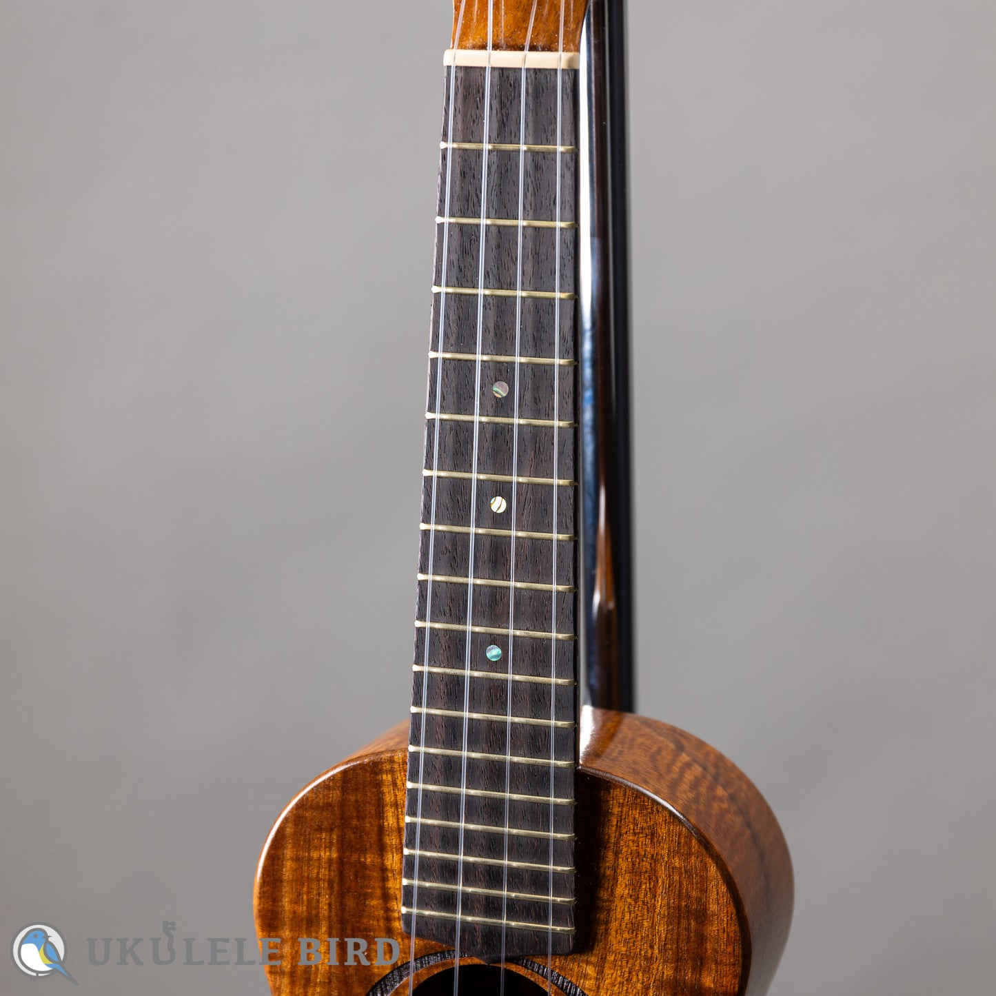 G String M1 Tattoo Honu Soprano