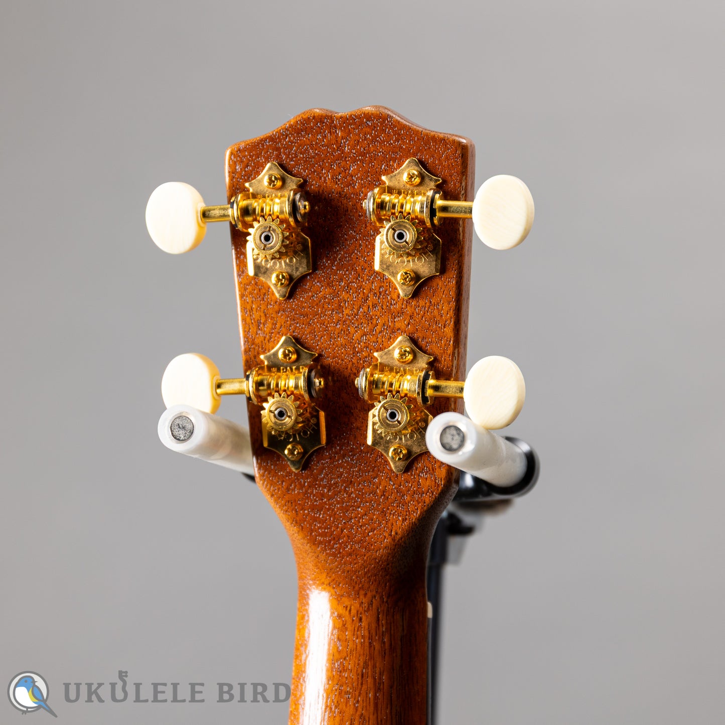 G String M1 Tattoo Honu Soprano
