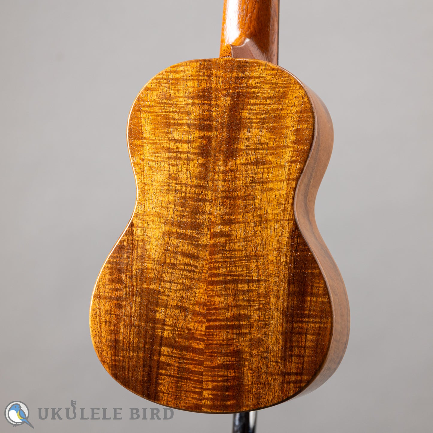 G String M1 Tattoo Honu Soprano