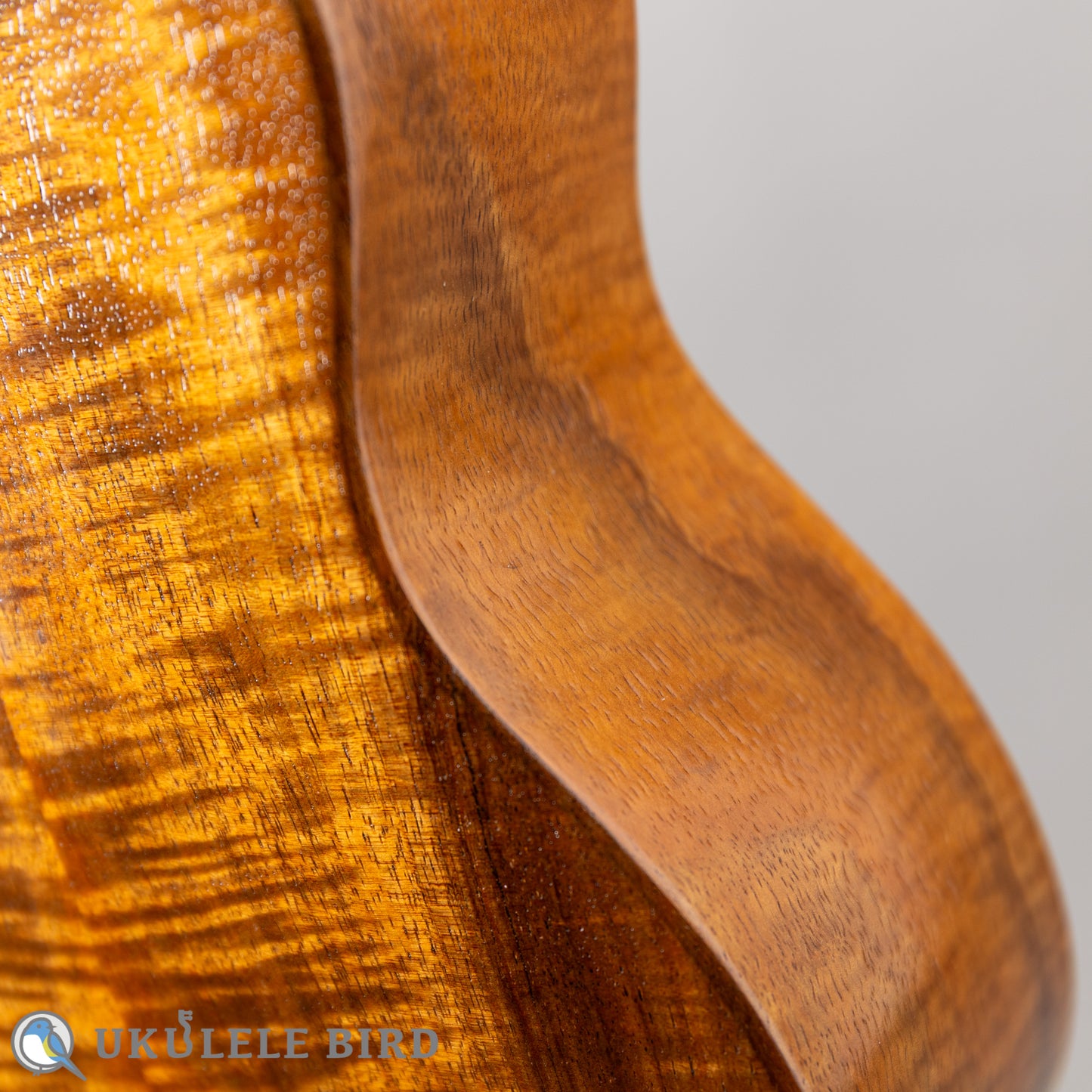 G String M1 Tattoo Honu Soprano