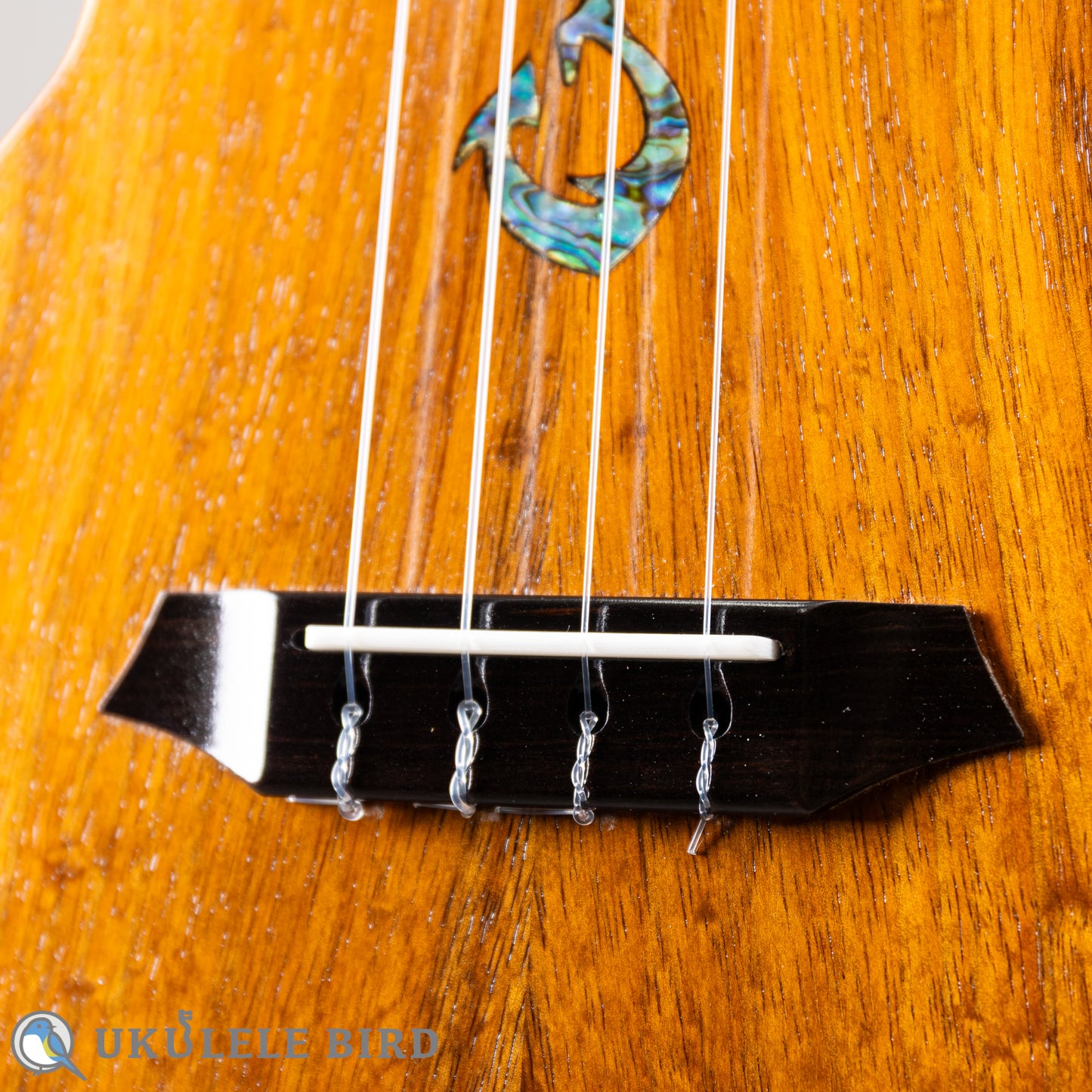 G String T4 Double Hole Tenor