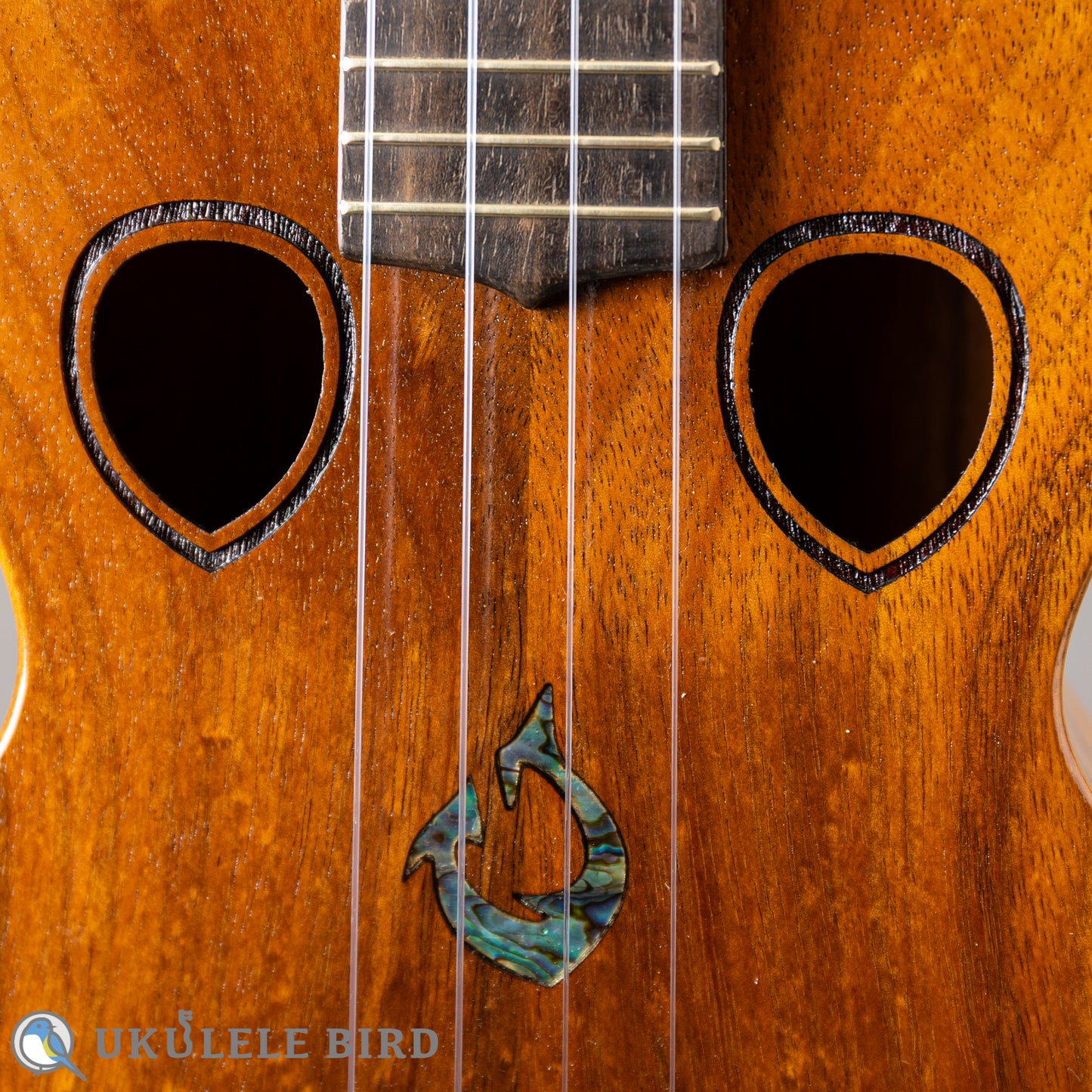 G String T4 Double Hole Tenor