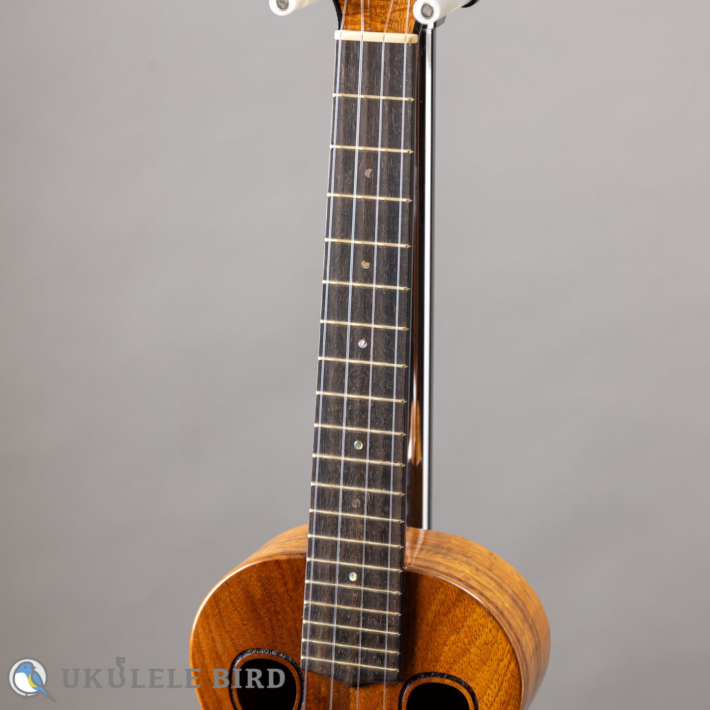 G String T4 Double Hole Tenor