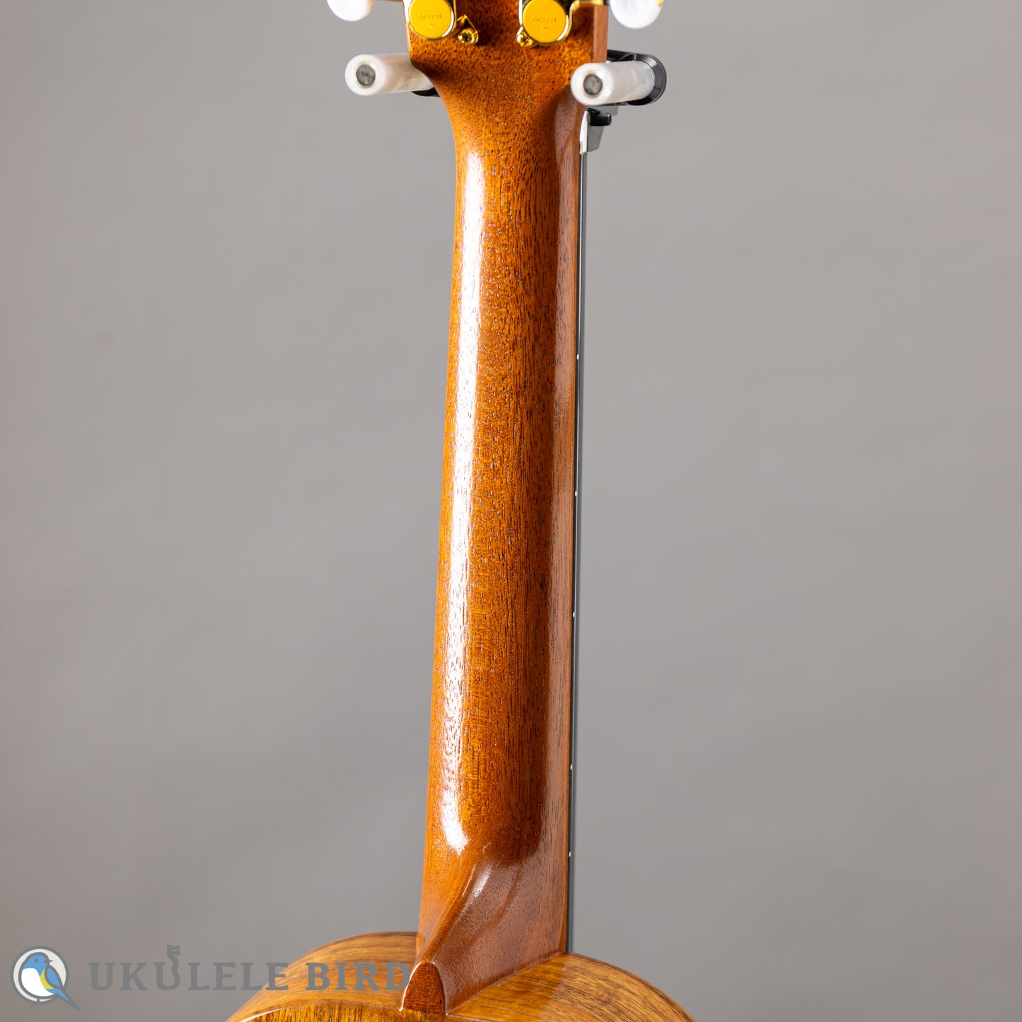 G String T4 Double Hole Tenor