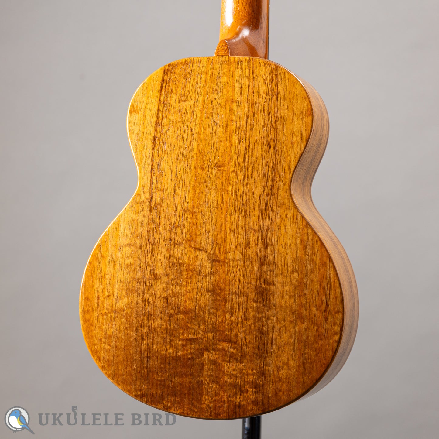 G String T4 Double Hole Tenor