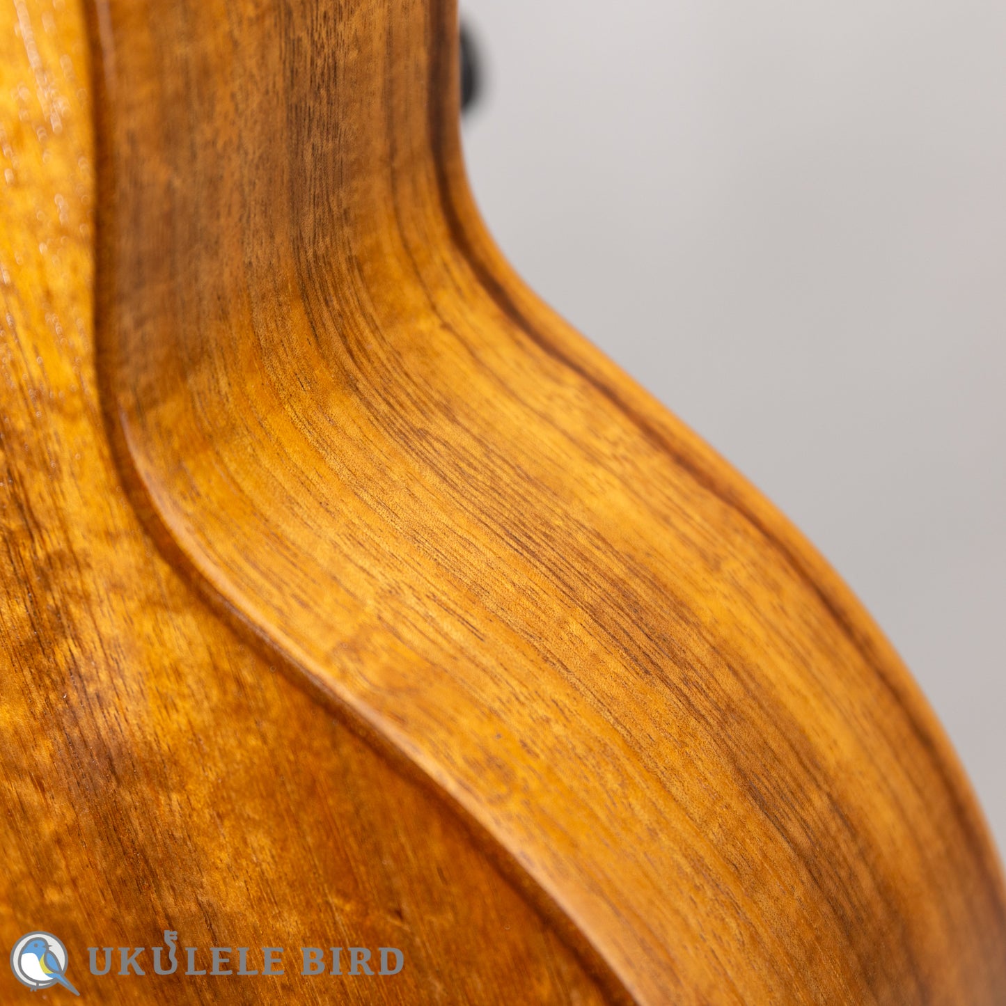 G String T4 Double Hole Tenor