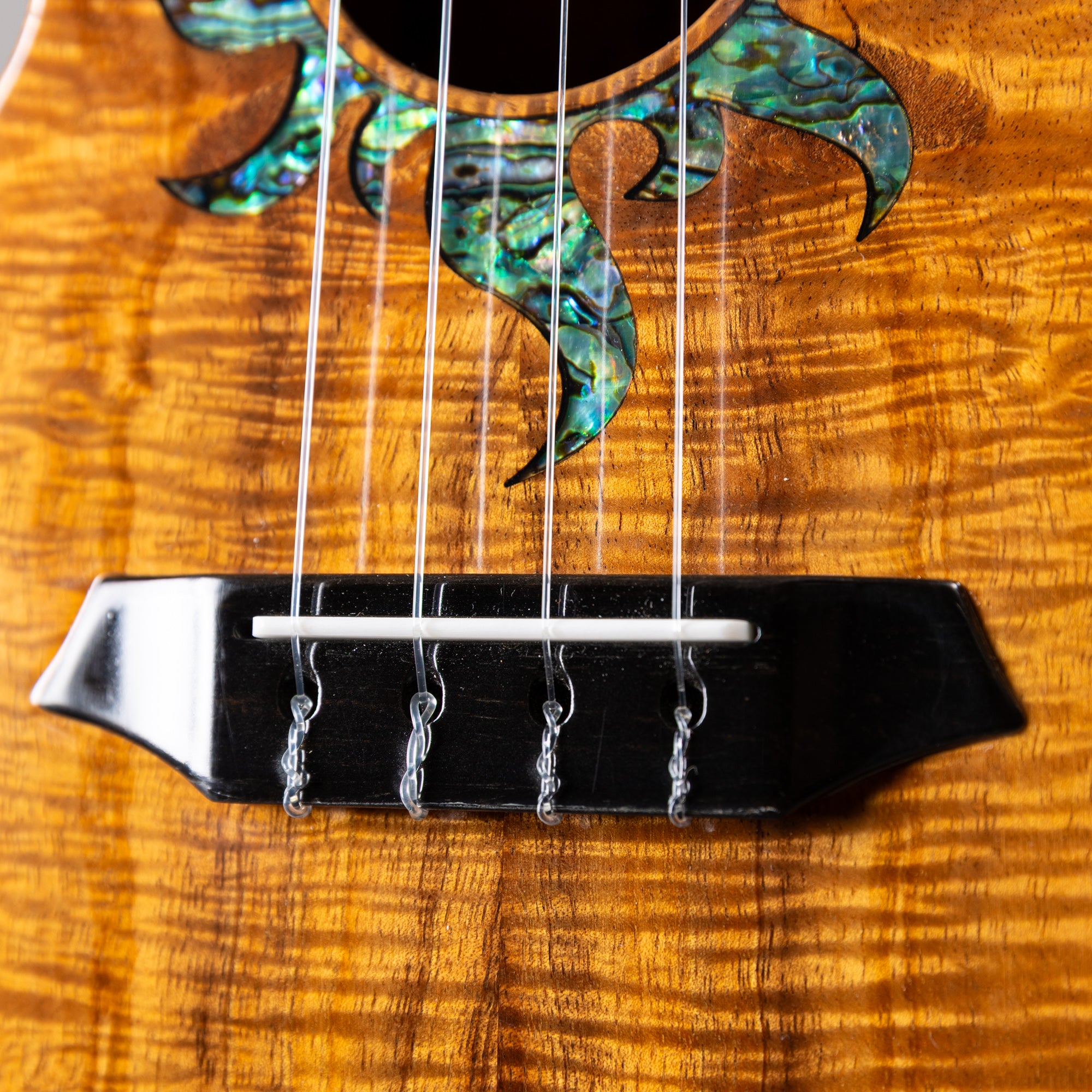 G String C1 Sun Concert – Ukulele Bird （株式会社ラストギター）