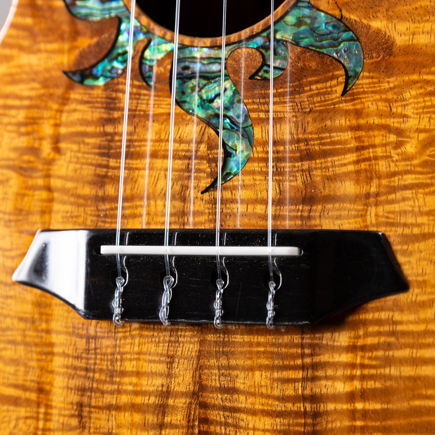 G String C1 Sun Concert