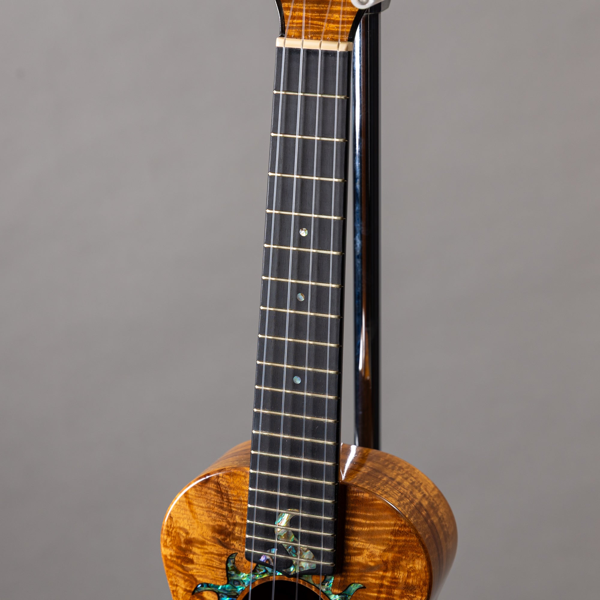 G String C1 Sun Concert – Ukulele Bird （株式会社ラストギター）