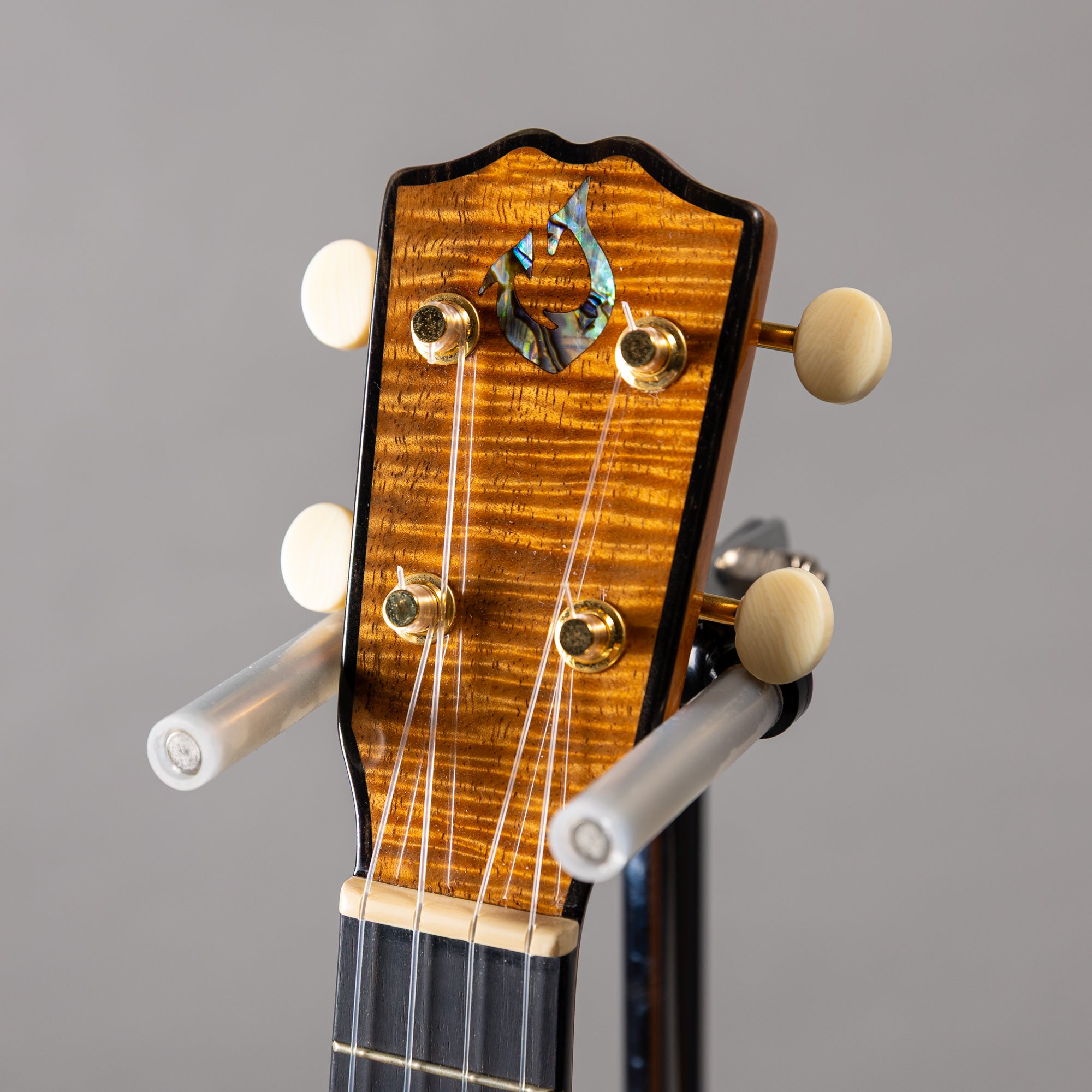 G String C1 Sun Concert – Ukulele Bird （株式会社ラストギター）