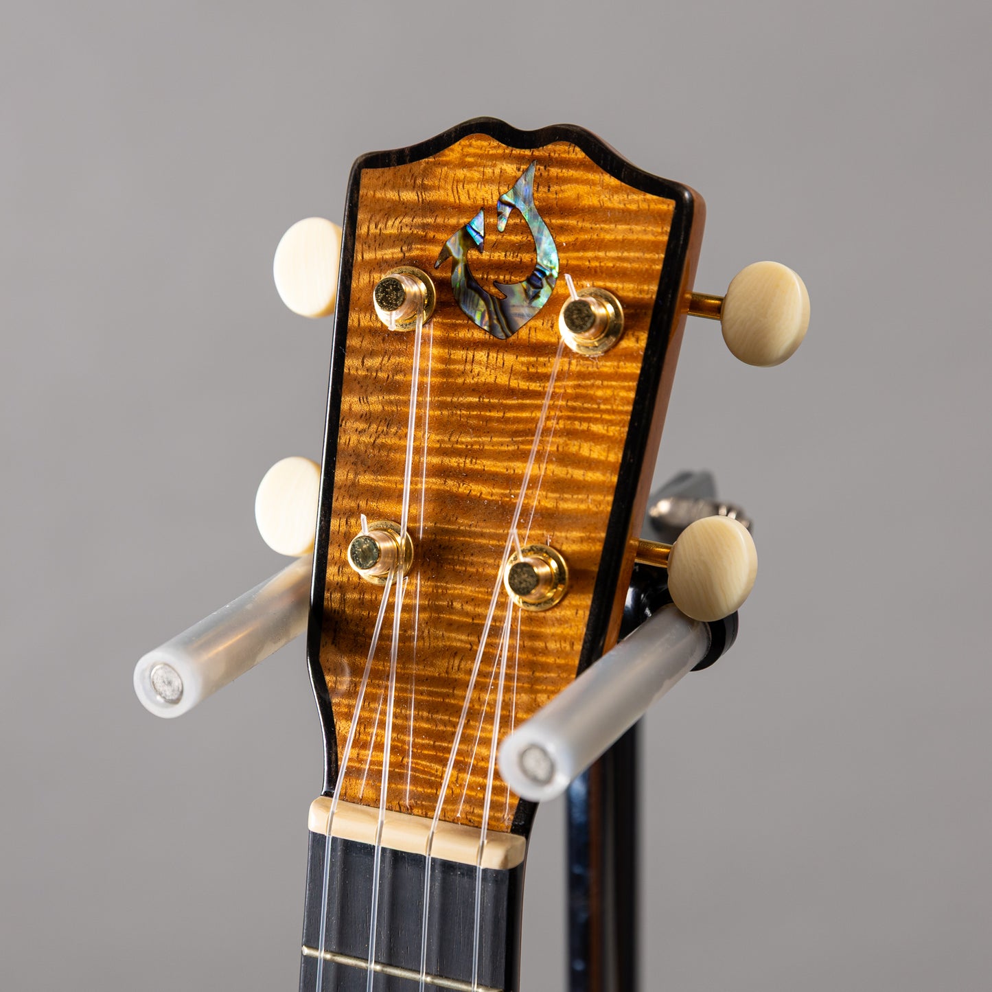 G String C1 Sun Concert