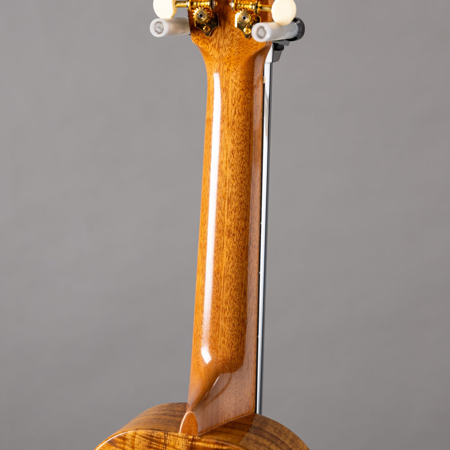 G String C1 Sun Concert