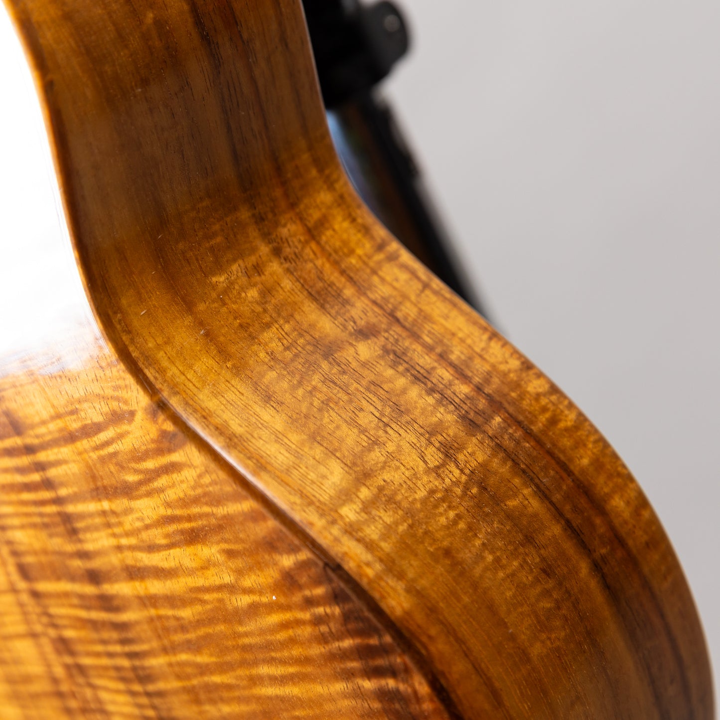 G String C1 Sun Concert