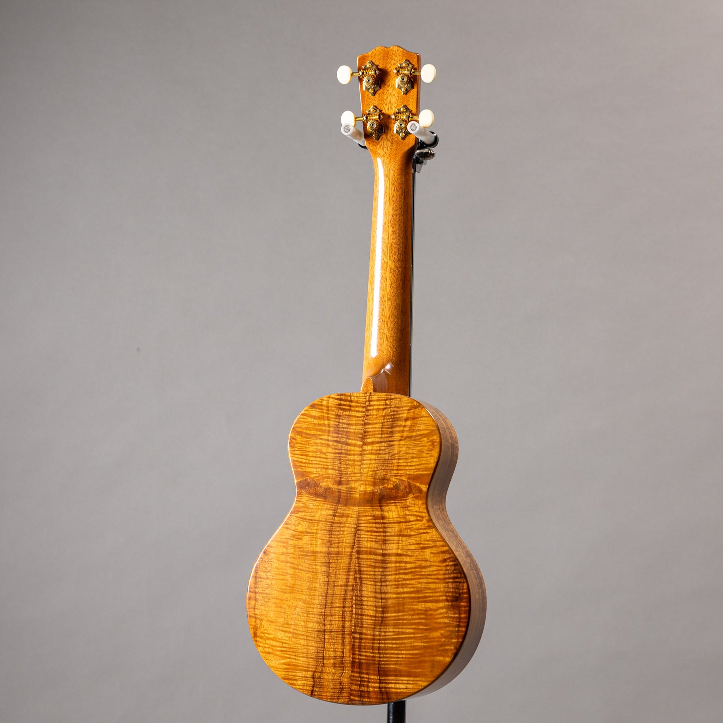 G String C1 Sun Concert