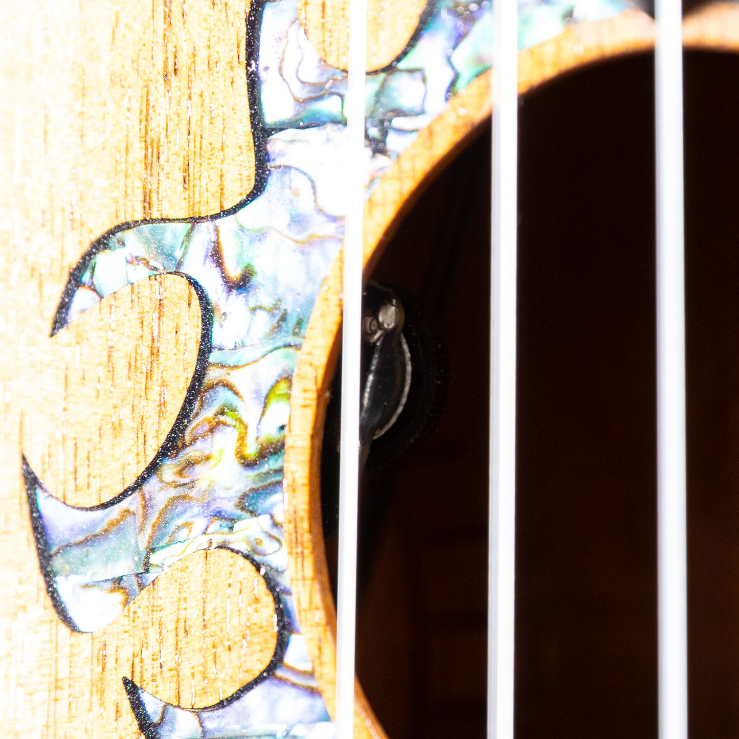 G String C1 Sun Concert  2023  w/pu