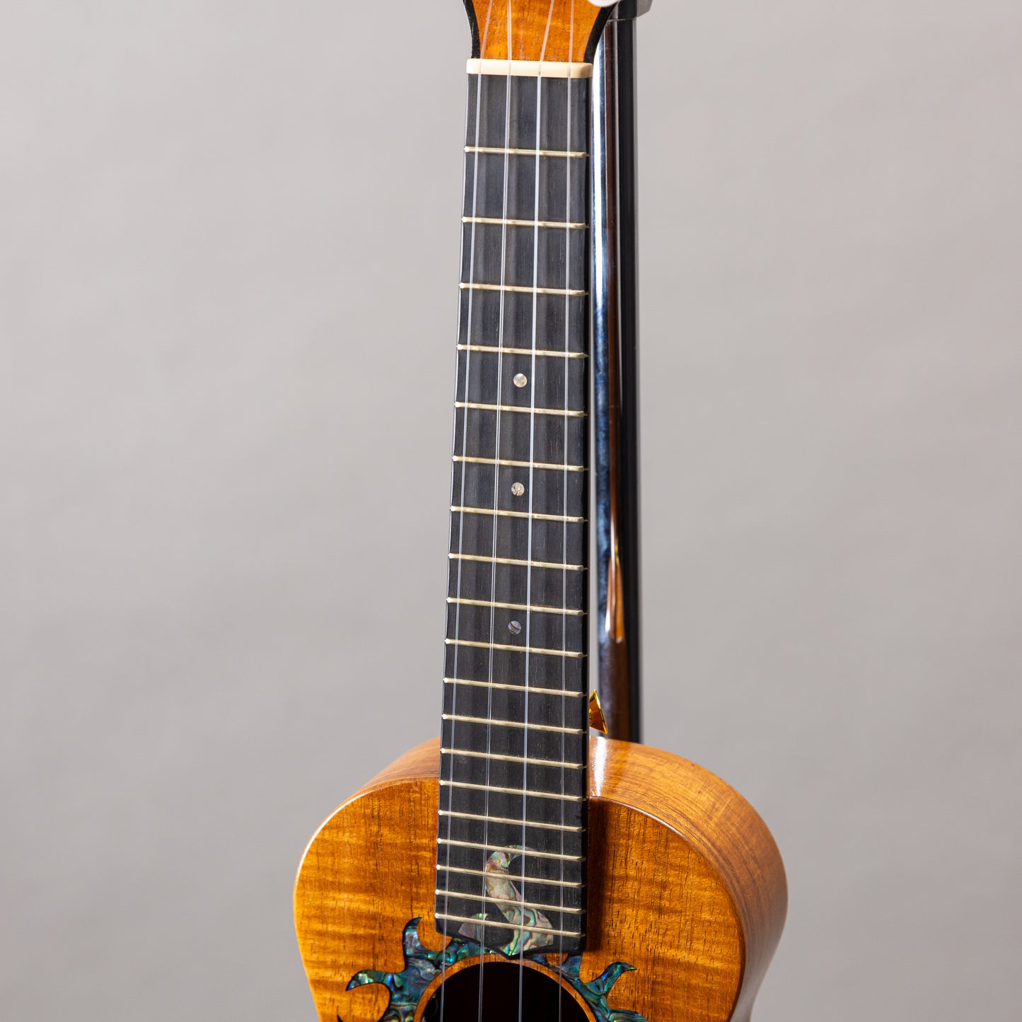 G String C1 Sun Concert  2023  w/pu