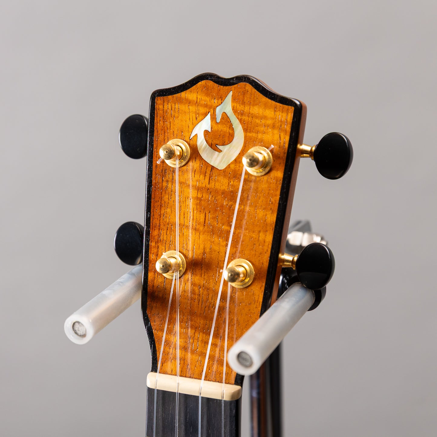 G String C1 Sun Concert  2023  w/pu