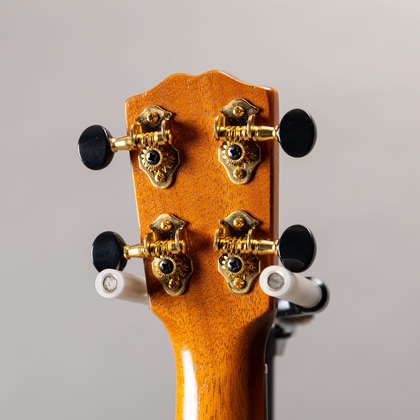 G String C1 Sun Concert  2023  w/pu